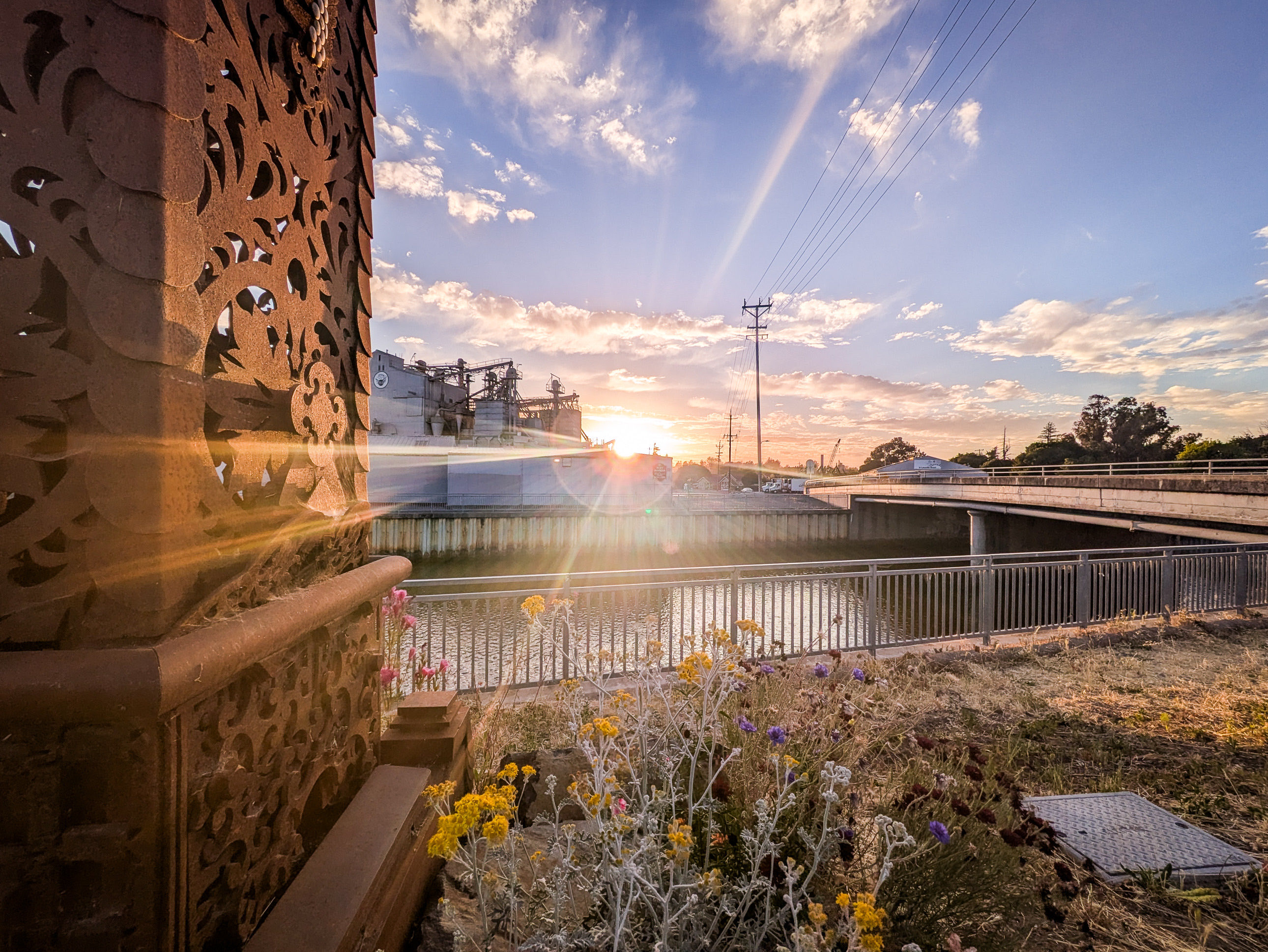 Golden sunset over the Petaluma River bridge with the historic grain mill and silos, wildflowers in the foreground